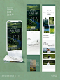 品牌公众号 | 大旅行家 Design by：木子设计 #公众号长图文设计 #公众号排版 #长图设计 #影像 ##森 #旅行 #品牌设计 #森系 - 小红书