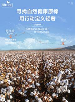 SEVEN丹采集到家纺详情素材