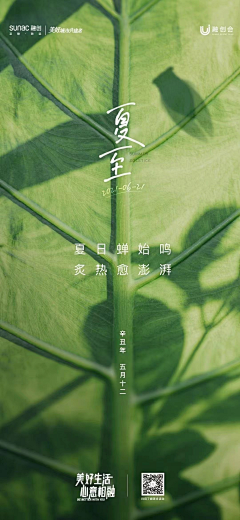 i上杉达也采集到a.节日/节气海报