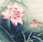 一个人的旅途 [http://136747190.qzone.qq.com]