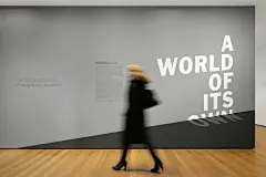 A World Of Its Own 字体海报墙-古田路9号-品牌创意/版权保护平台