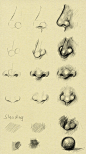 #绘画参考# 整理了一些鼻子的画法，不同鼻子可是有不同特征的哦 ･ิ≖ ω ≖･ิ✧ （图源见图中水印）