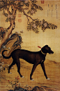 清代郎世宁在宫廷内曾创作了《十骏犬图》轴十幅，画了十条品种高贵的名犬，分别命为：“霜花鹞”、“睒星狼”、“金翅猃”、“苍水虬”、“墨玉璃”、“茹黄豹”、“雪爪卢”、“蓦空鹊”、“斑锦彪”和“苍猊犬”。