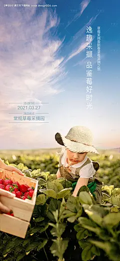 源文件下载【春节草莓采摘活动海报】编号：81510027008409300