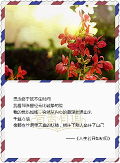 彼岸花竹林风采集到我要的美