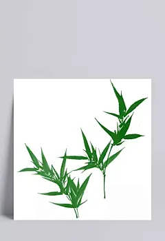 国画竹子|中国风,国画,风格,竹子,竹叶,绿色,翠竹,水彩,墨水,手绘,毛笔画,其他,背景图