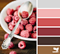 Design Seeds® | find your palette