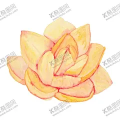 花朵 【酷图网】花朵,花,卡通花,花团,植物花卉,植物画,花朵画,花朵绘画,花朵美术,手绘花朵,花朵水彩,水彩花朵,花草绘画,花朵插画,植物插画,水彩植物,手绘植物,手绘树叶,水彩树叶,树叶,花卉背景,鲜花,叶子,花叶,绿叶,绿色叶子,小花,小花朵,花卉插画,花簇