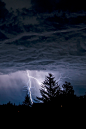 (99+) Tumblr