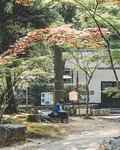 哒哒哒大大采集到风景