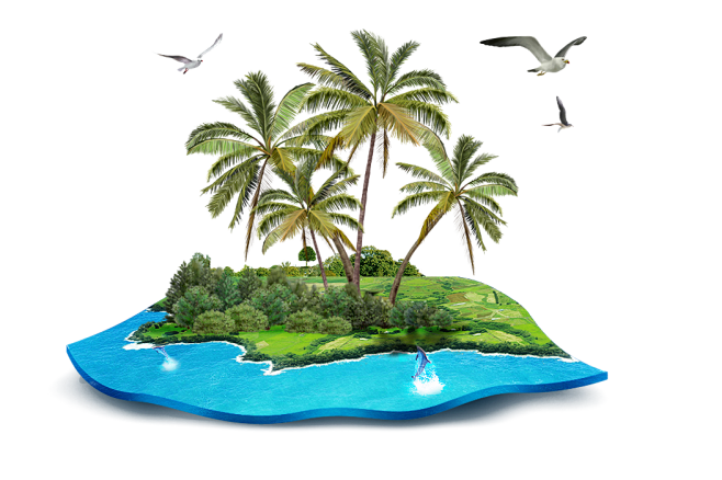 夏季沙滩海洋海鸥棕树林大海透明底色素材图...