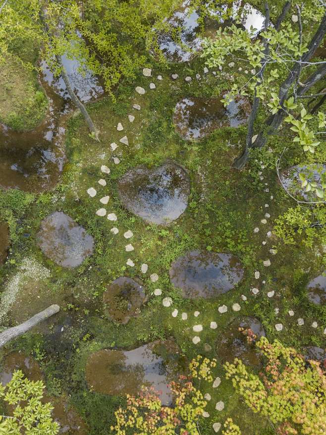 植物艺术生物空间，水上花园 / juny...