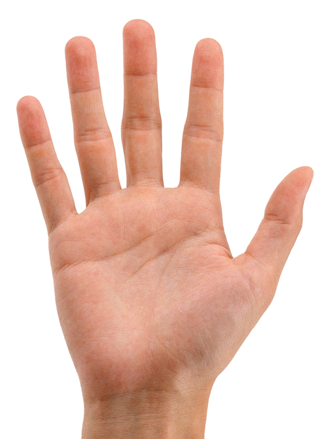 Hands PNG, hand imag...