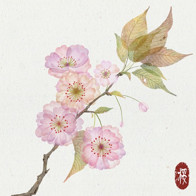 扁平水彩樱花