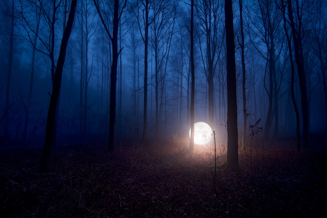Moon On Earth