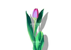 丁香花手绘插画  - 源文件下载【酷图网】花,花卉,植物,鲜花,画册,花朵,玫瑰,牡丹,月季花,水仙花,丁香花,百合花,装饰,装饰画,春天,夏天,母亲节,父亲节,情人节,女神节,海报,手绘,插画,手绘插画,广告设计,平面设计,包装设计,包装,设计,广告,壁纸,贴纸,底纹,背景,电商,绘本,点缀,元素,简约,明信片,服装,印花,分层,