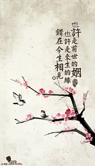 萌萌的文字