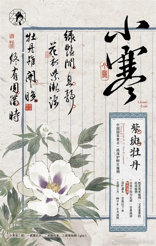 中国风！茶颜悦色二十四节气借势海报设计