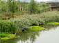 2016 ASLA -NingboEco_12
