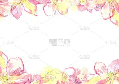 水彩粉红色花朵背景