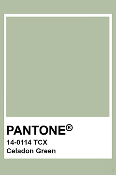 残酷、的现实采集到潘通(PANTONE)