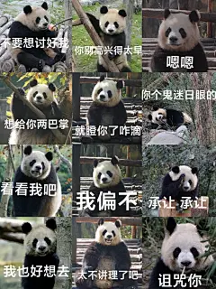 熊猫表情包 - 小红书搜索
