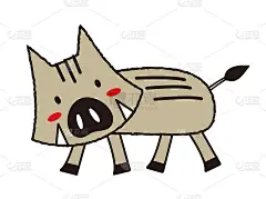 野猪角色插画