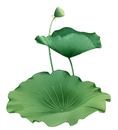 gIHabui7采集到植物类素材