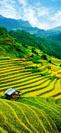 Rice fields on terraced of Mu Cang Chai, YenBai, Vietnam. | 17 Unbelivably Photos Of Rice Fields. Stunning No.