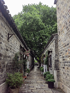 悟空452126采集到美丽乡村