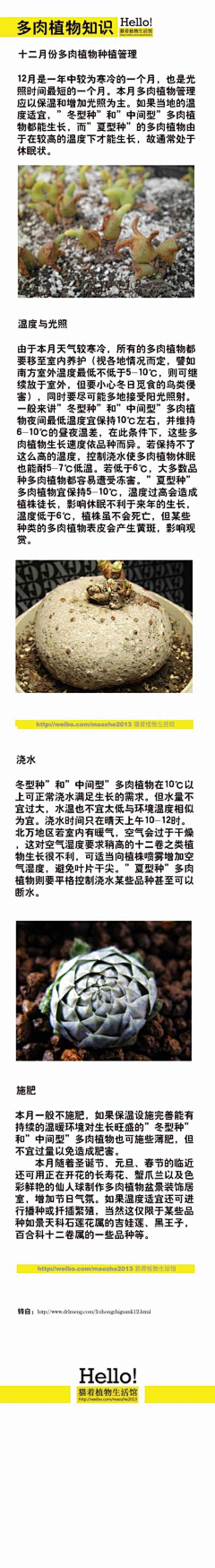 许嘘許采集到多肉