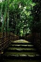 the approach to Ichijo-ji temple, Kyoto, Japan #摄影师# #小清新#