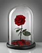 (2) Pinterest