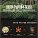 WB SFQ007 朗道广州万溪花地湾景观概念方案展示区示范区景观文本-淘宝网