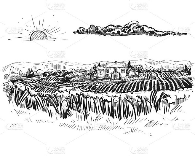手绘黑色和白色矢量插图集的谷物，小麦穗，...