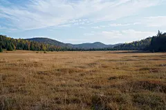 秋天的草原精美壁纸