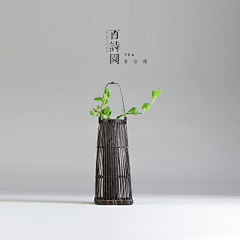 Natural6采集到花店