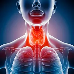 Swollen Thyroid Gland in the Neck