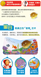 【乐乐趣旗舰店】奇妙洞洞书2册 妈妈在哪里+小红帽童话大串烧 1-3岁低幼宝宝启蒙认知洞洞书 亲子互动读物认知注音版绘本早教书-tmall.com天猫