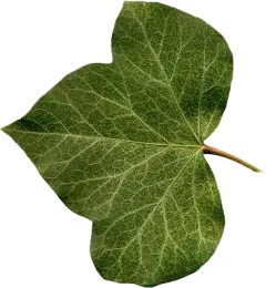 桌游牌图扑克点数棋盘游戏背景免抠PNG装饰图案 手账设 (43)