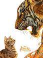 ～无畏～_3_康猛coming_来自小红书网页版