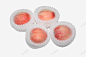 包装苹果高清素材 包装 水果 泡沫 红色 苹果 食物 平面广告 设计图片 免费下载 页面网页 平面电商 创意素材