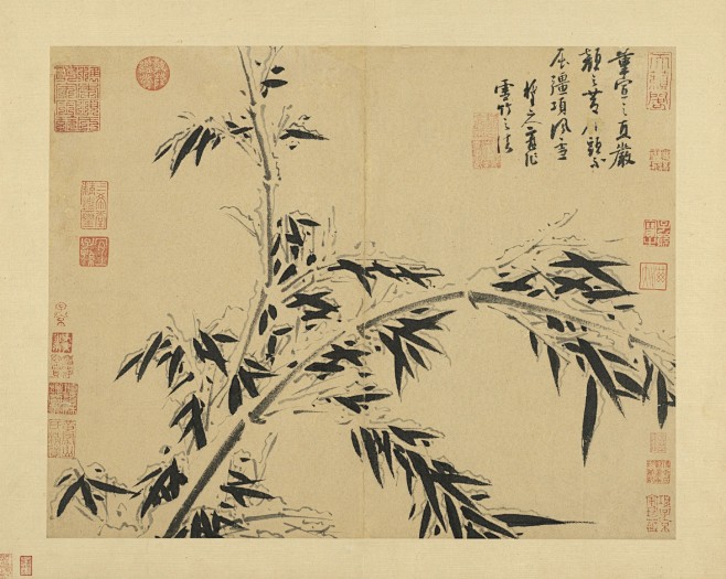 我的收藏 - 微博
