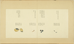 木槿花开(采集)采集到古画-动物