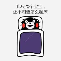 赖床熊本熊表情包高清素材 卡通 手绘 熊本熊 赖床 元素 免抠png 设计图片 免费下载 页面网页 平面电商 创意素材