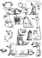 动物怪兽类 高清美术绘画素材参考 百度网盘分享参考 448P