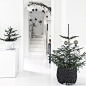※ Decor ※ 画师 Sonja Olsen 的家，已经早早布置出了圣诞的氛围。白色的空间真的很浪漫和给人灵感呢～ ​​​​