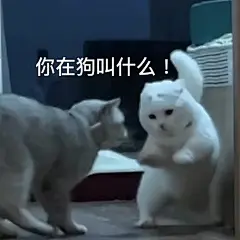 猫狗表情包