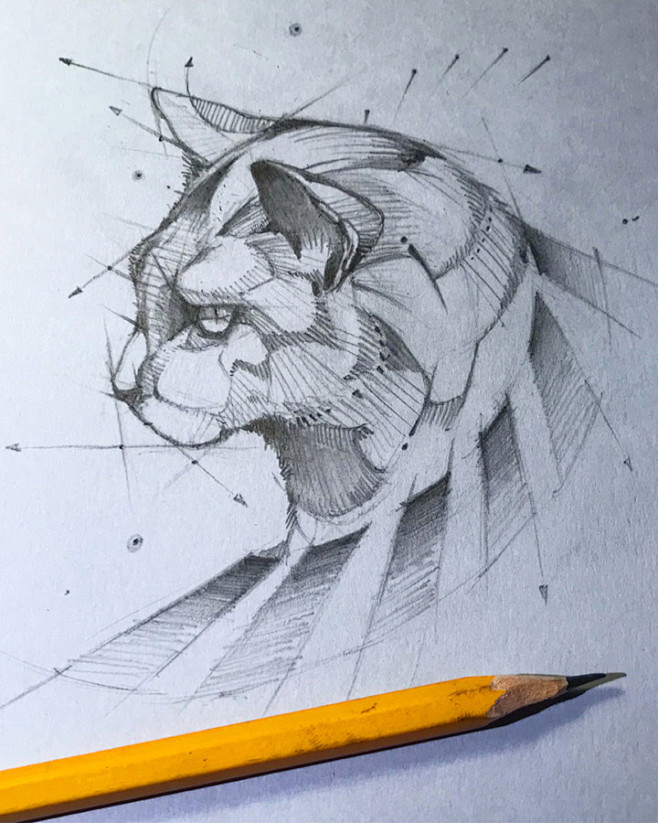 frog, lion skull,  b...