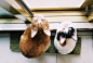 (8) indie | Tumblr